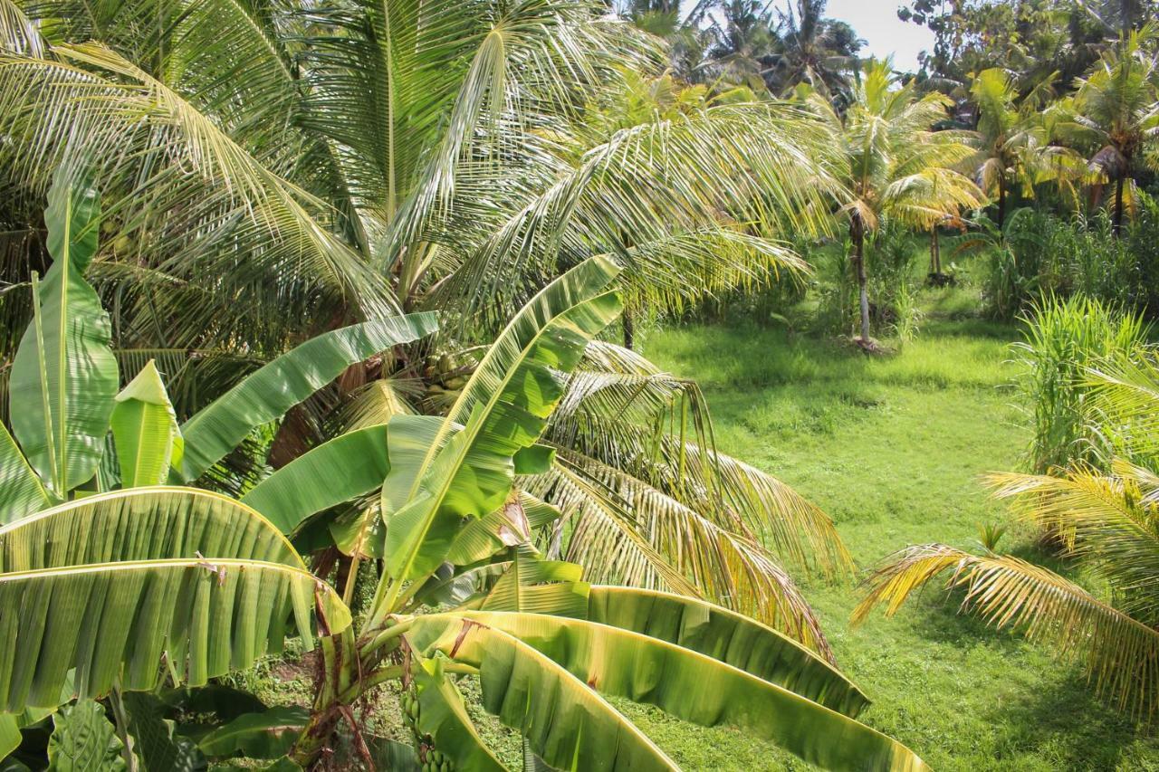 Balian Surf Villas Selemadeg  Экстерьер фото